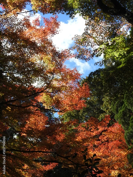 Fototapeta ビット数の敗北