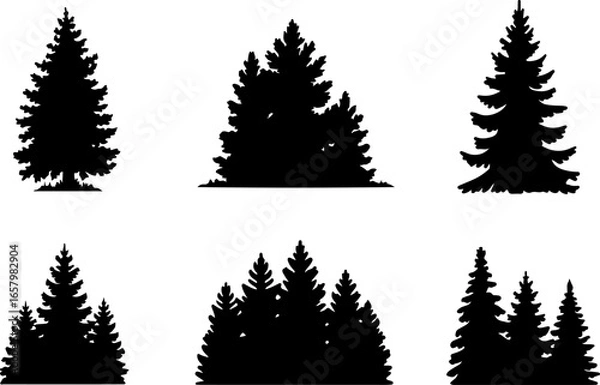 Fototapeta Pine Tree  , forest, nature  black vector bundle design graphics