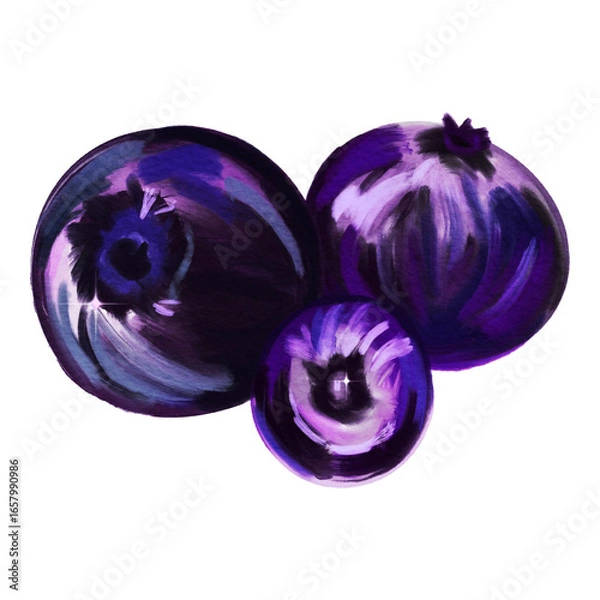 Obraz Blueberry Fruit Berry Design Vector Illustration