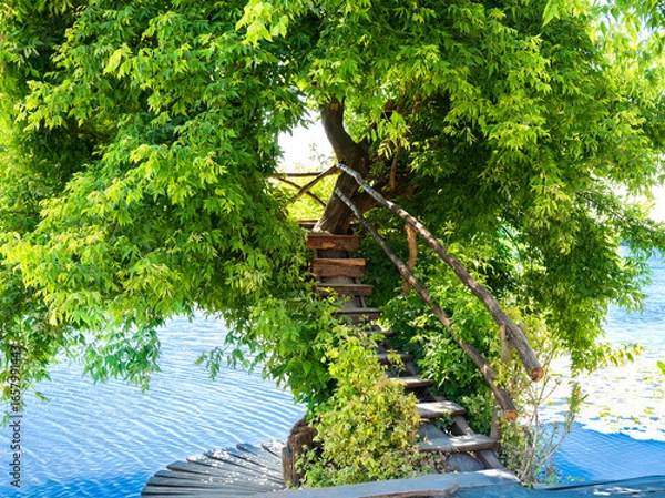 Fototapeta A summer scene featuring a wooden staircase winding up into a lush, green tree at the water's edge. Concepts of nature retreats, dreams, and serene summer vacations. Selective focus.