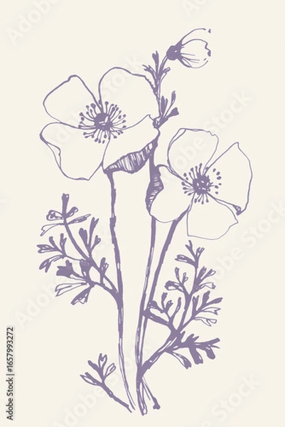 Obraz Poppies ink sketch