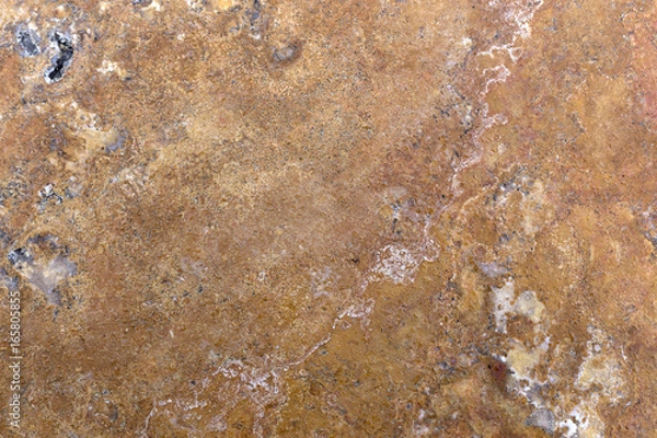 Obraz Detailed texture of texture and background with high resolution.