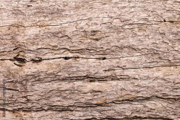 Obraz wooden texture background