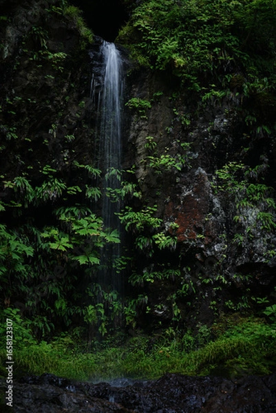 Obraz 山形県_南陽市_くぐり滝