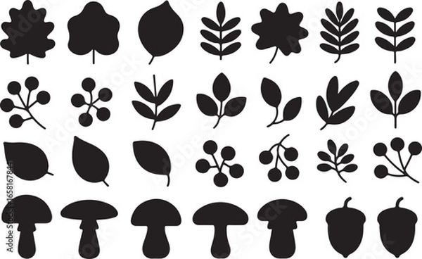 Fototapeta A collection of vector silhouettes of trees and leaves for nature illustrations