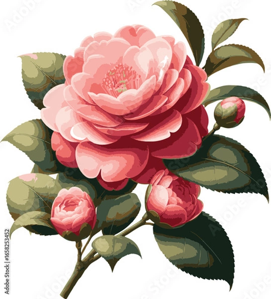 Obraz Pink Camellia Flower Bundle Vector Illutstration