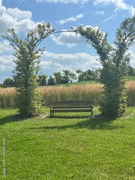 Obraz Wooden bench under arch with climbing plants in sunny green park with tall grass and blue summer sky