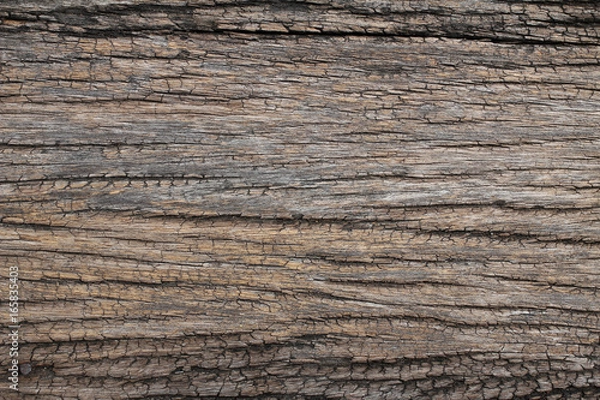 Obraz Wood background , old wood pattern