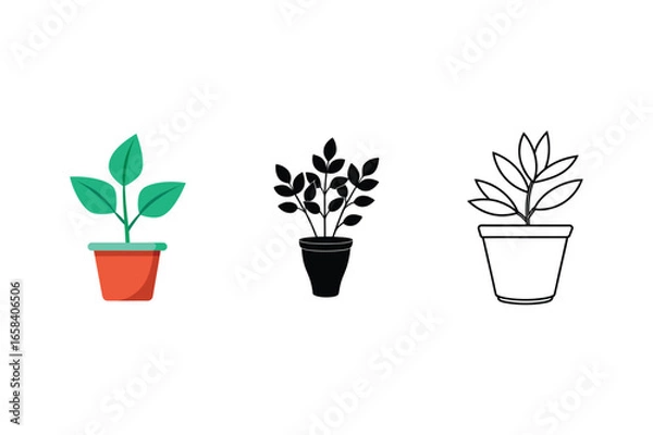 Fototapeta Collection of four diverse botanical illustrations featuring various plants and foliage in vibrant colors