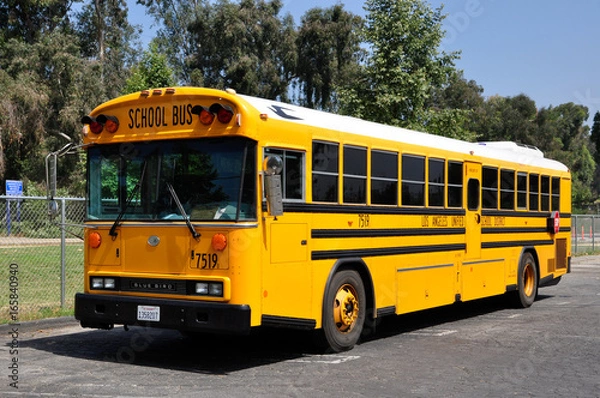 Obraz US school bus