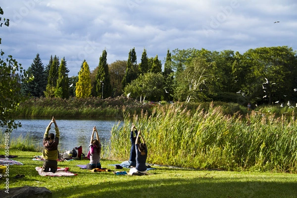 Obraz Yoga practice at a park