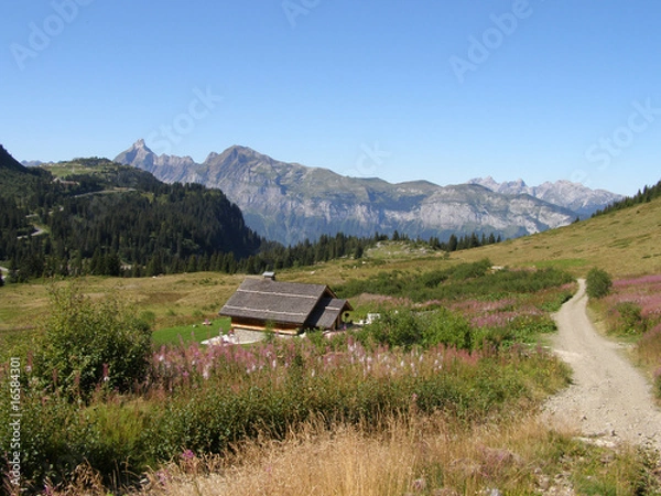 Obraz Sentier de  randonnée à Flaine
