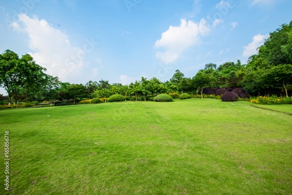 Fototapeta Grassland landscape and greening environment park background
