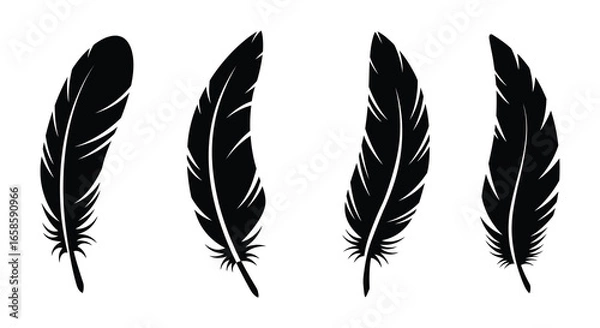Fototapeta Four black feather silhouettes on a white background in different orientations
