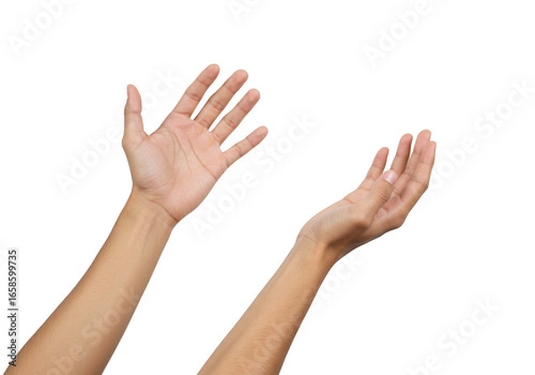 Fototapeta Two open hands reaching upwards isolated on transparent background