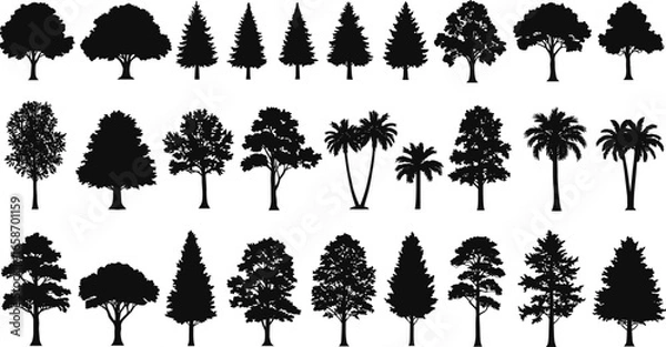Fototapeta Tree silhouettes collection, vector illustration, nature design elements, isolated black trees, forest, landscape, decoration, template