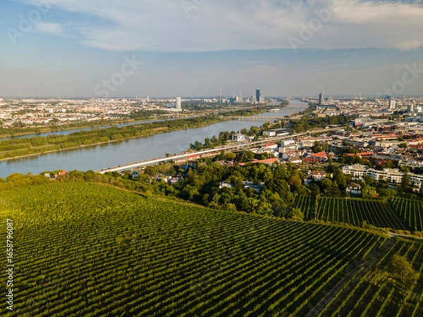 Fototapeta An aerial panorama of Vienna Nussdorf with vineyards rows in summer