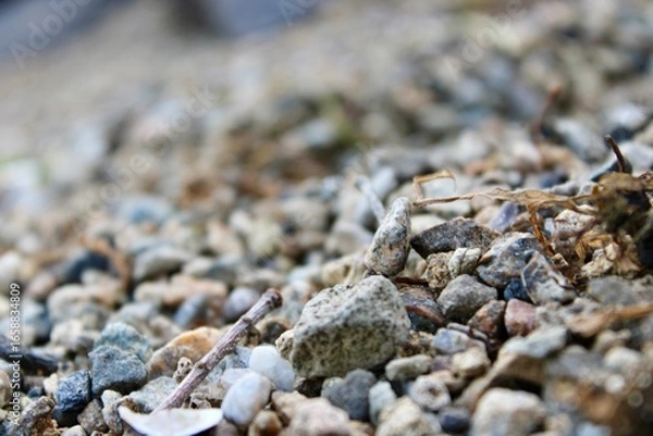 Fototapeta Natural Gravel Texture With Small Stones and Pebbles Under Soft Sunlight, Ideal for Creative Design and Background Use in Various Projects Including Nature-Themed Artwork
