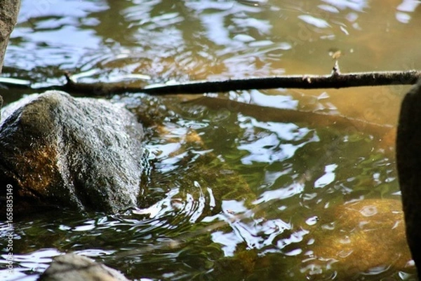 Obraz Water Glistens on Rocks in a Serene Stream Surrounded by Lush Greenery During a Bright Sunny Day in a Tranquil Natural Setting