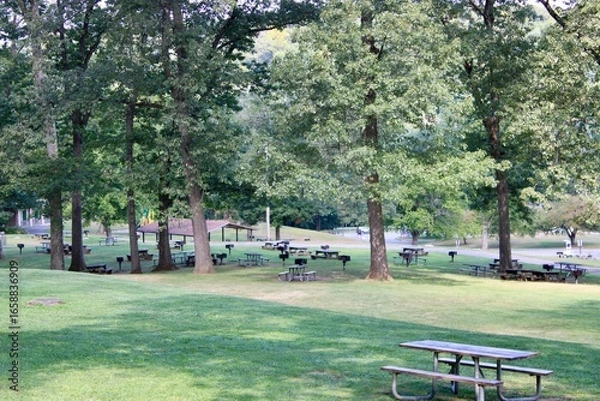 Obraz Serene Park Setting With Lush Greenery and Picnic Tables in a Tranquil Outdoor Environment