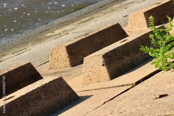 Fototapeta Unique Coastal Structures Along the Shoreline With Natural Vegetation in Focus, Showcasing Beautiful Textures and Patterns Near the Water's Edge in Bright Daylight