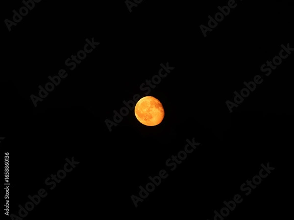 Obraz Red Moon in the Sky