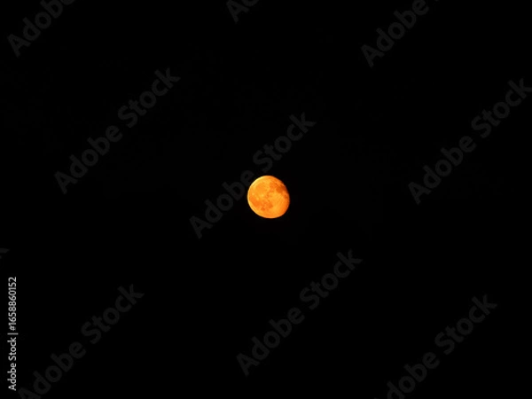 Obraz Red Moon in the Sky