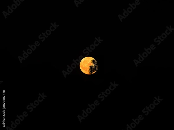 Obraz Red Moon in the Sky