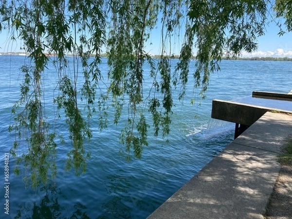 Obraz tree on the harbour