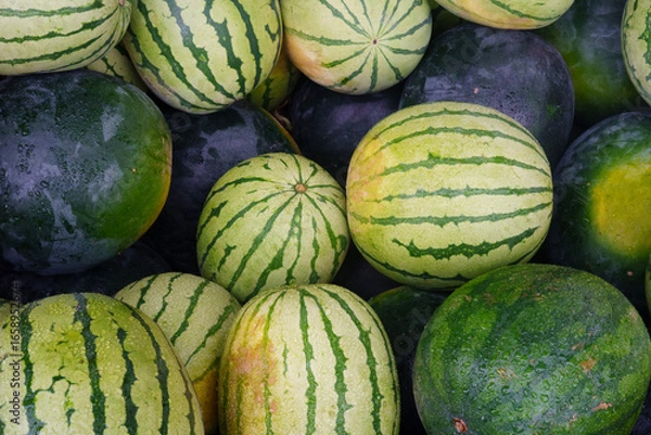 Obraz Vibrant Watermelons with Dew Drops on Display