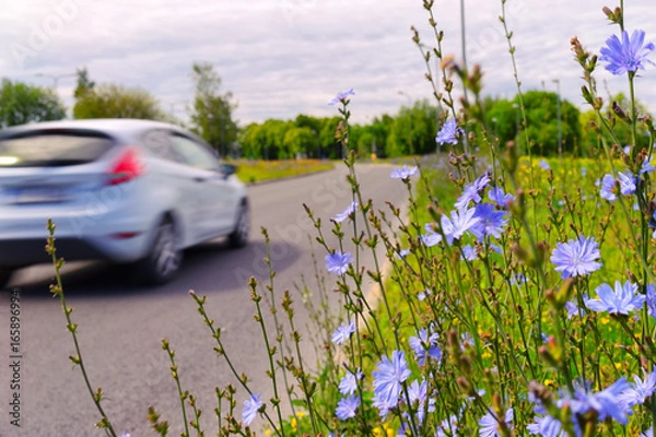 Fototapeta Machine on the highway with flowers