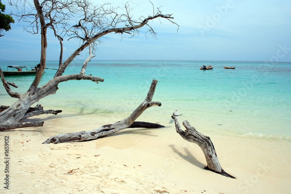 Obraz andaman beach xix