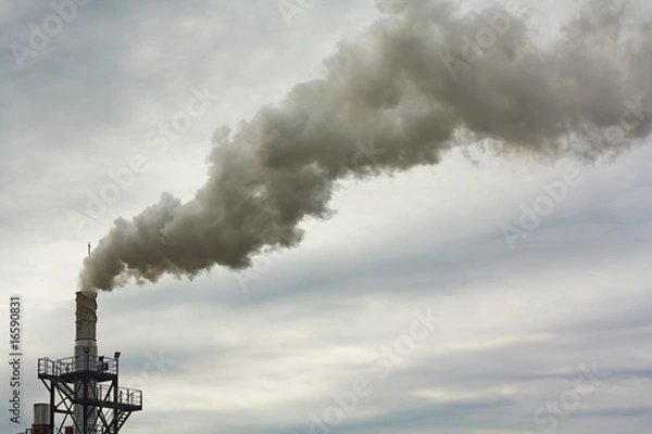 Obraz Smoke from the stalk