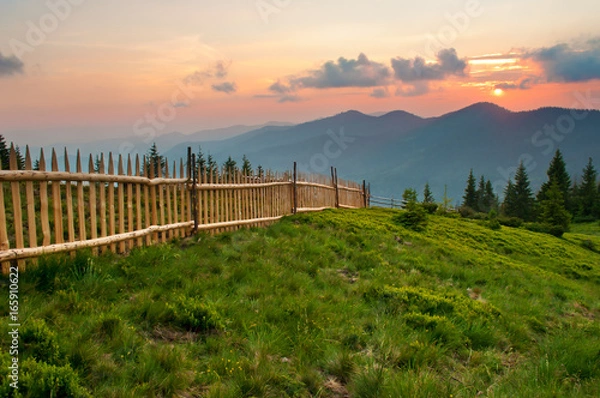 Fototapeta Spruce and pine trees on a lush green slope against mountain tops covered with several clouds at sunset. Warm summer evening. Marmarosh range, Carpathian mountains, Ukraine