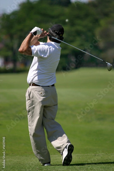 Obraz golfista_0121.