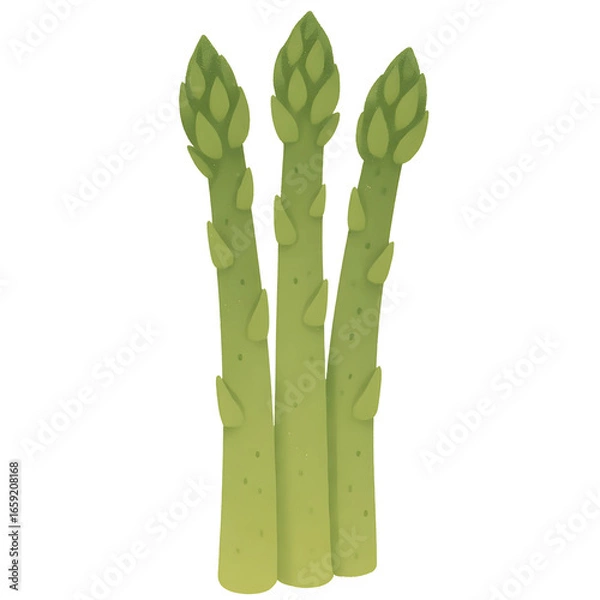 Obraz Asparagus
