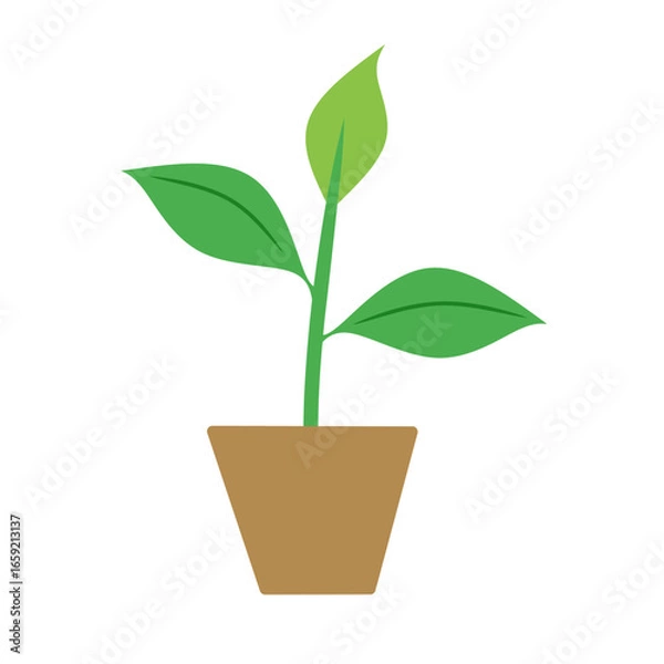Fototapeta Vector illustration green plant in a pot with isolated background. A simple illustration of a green plant with three leaves growing from a brown pot. It represents nature, growth, and life