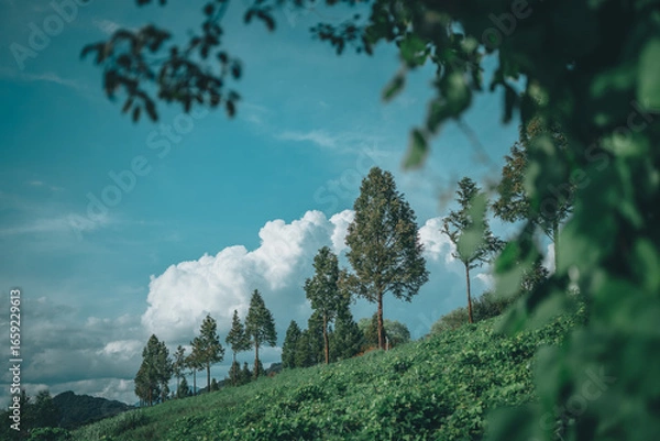 Fototapeta 한국 여주에서 바라본 풍경들