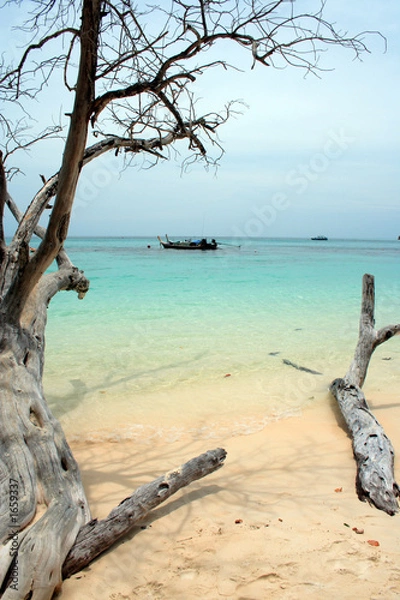 Obraz andaman beach xviii