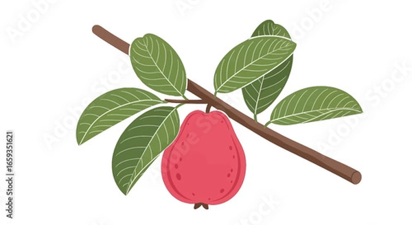 Fototapeta Illustration of a Red Apple Hanging from a Branch with Green Leaves Isolated on White Background