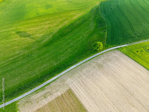 Obraz Aerial view of rural road through countryside meadows and farmland in Canton of Fribourg in Switzerland. 