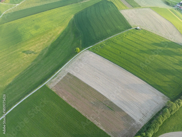 Obraz Aerial view of rural road through countryside meadows and farmland in Canton of Fribourg in Switzerland. 