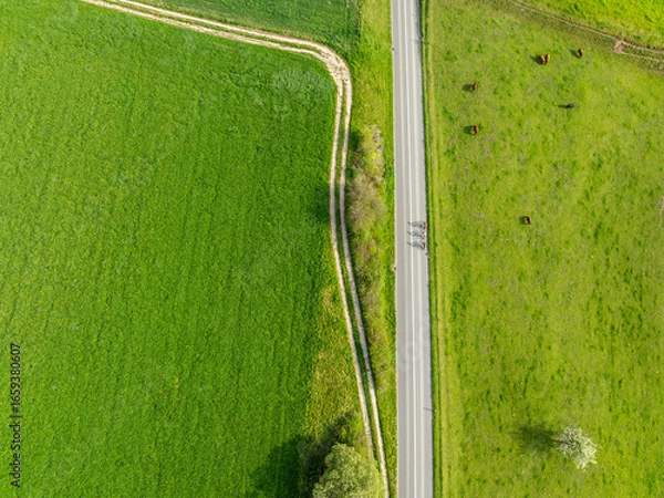 Obraz Aerial view of rural road through countryside meadows and farmland in Canton of Fribourg in Switzerland. 