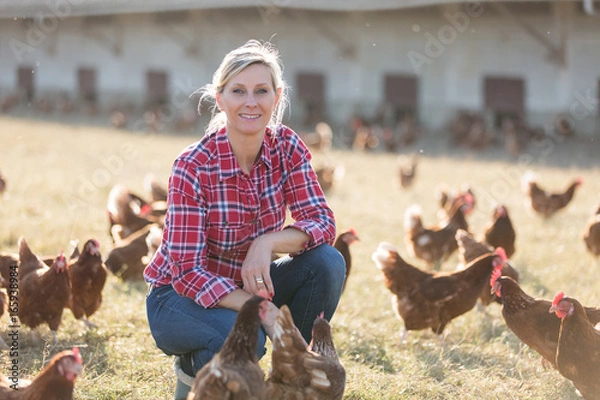 Obraz female farmer looking for eggs