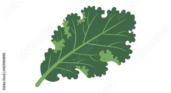 Fototapeta Vibrant green kale leaf with intricately detailed venation isolated against a pristine white background conveys freshness and health