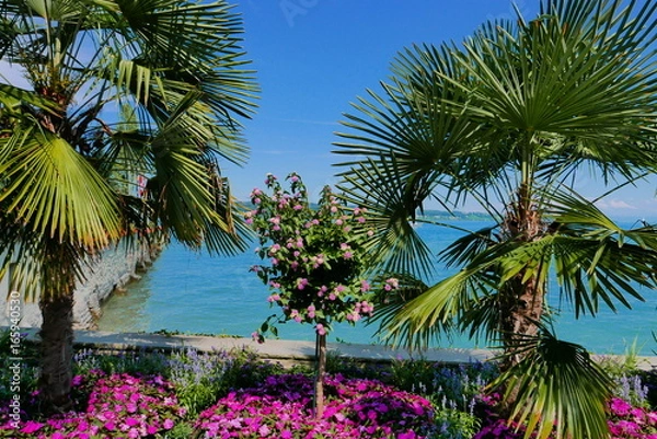 Fototapeta Insel Mainau