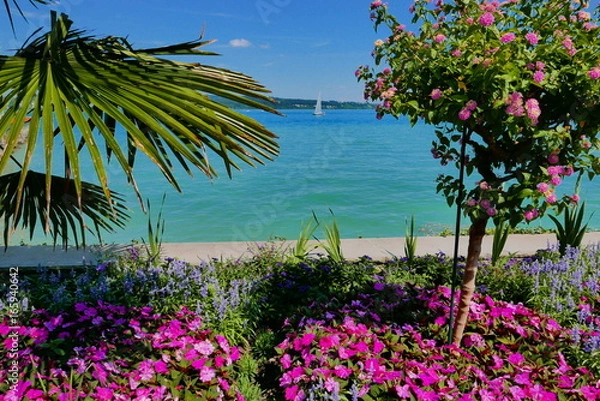 Fototapeta Insel Mainau