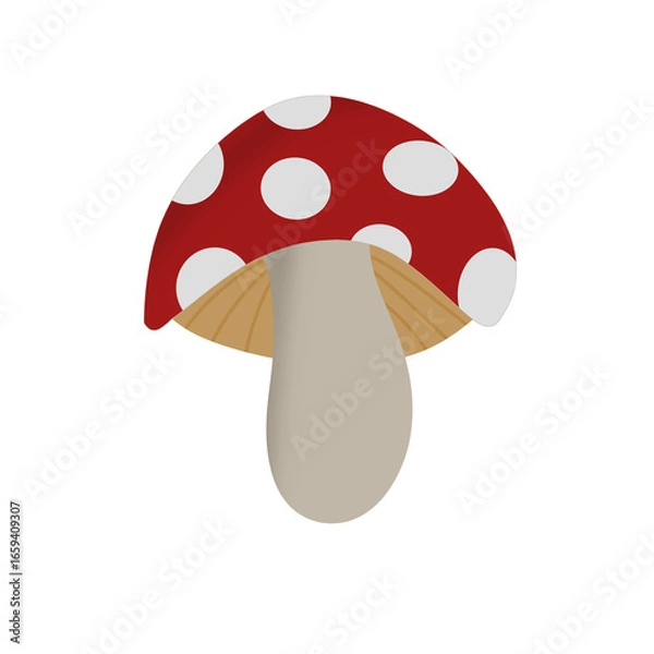 Obraz mushroom on white background