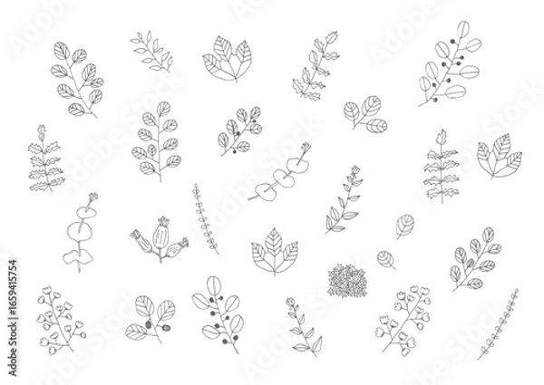 Obraz シンプルな植物の手描きイラスト1