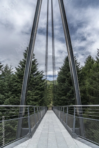 Obraz Bridge in the high mountains